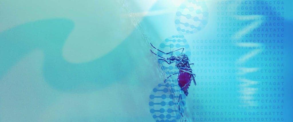 LYFE-outdoor-mosquito-killing