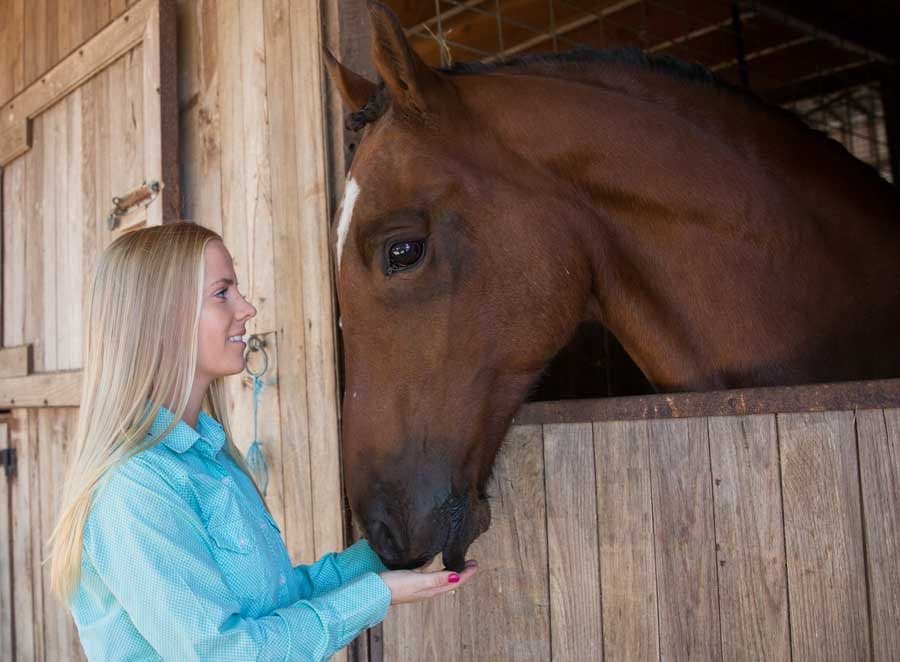 lyfe outdoor solutions farm mosquito