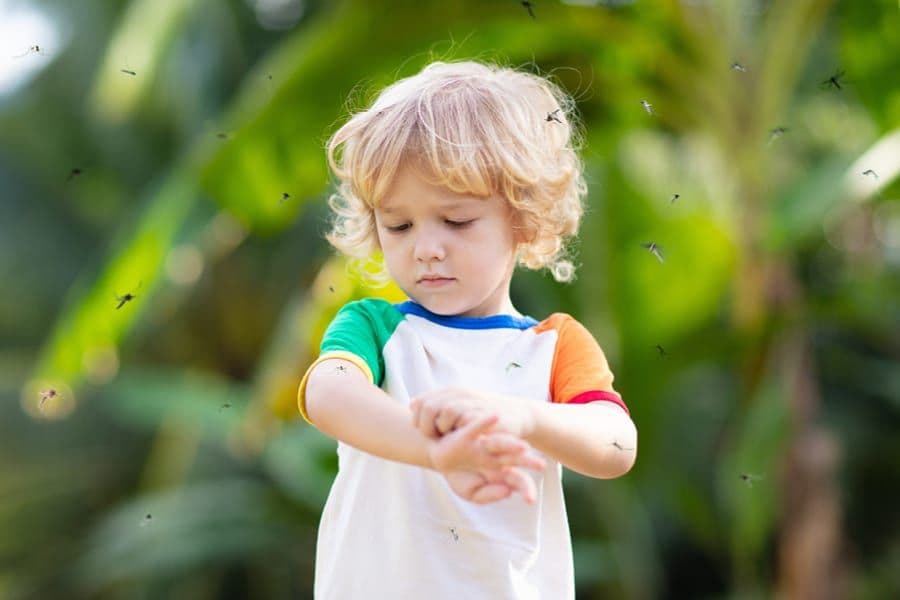 mosquito-misting-system